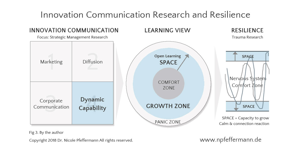 Dr. Nicole Pfeffermann | Leadership, Strategy & Innovation, Innovation Communication